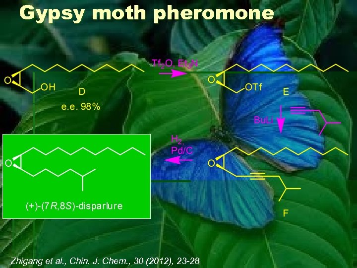 Gypsy moth pheromone Zhigang et al. , Chin. J. Chem. , 30 (2012), 23