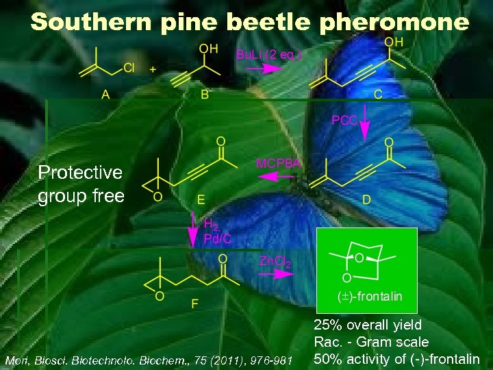 Southern pine beetle pheromone Protective group free Mori, Biosci. Biotechnolo. Biochem. , 75 (2011),