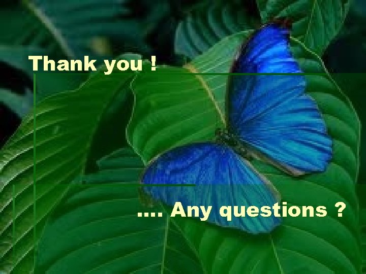 Thank you ! …. Any questions ? 