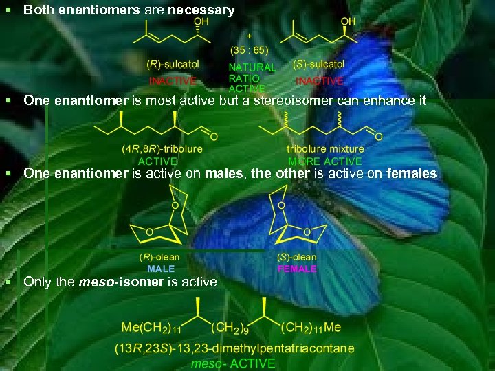 § Both enantiomers are necessary § One enantiomer is most active but a stereoisomer