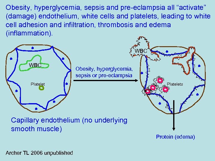 Obesity, hyperglycemia, sepsis and pre-eclampsia all “activate” (damage) endothelium, white cells and platelets, leading