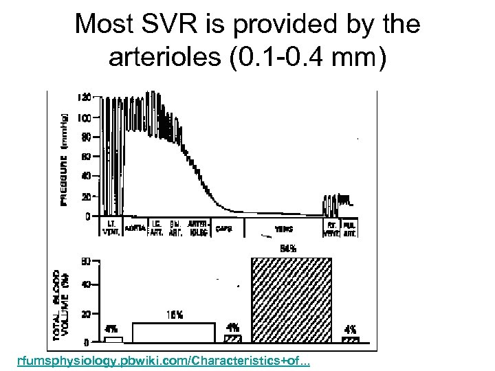 Most SVR is provided by the arterioles (0. 1 -0. 4 mm) rfumsphysiology. pbwiki.