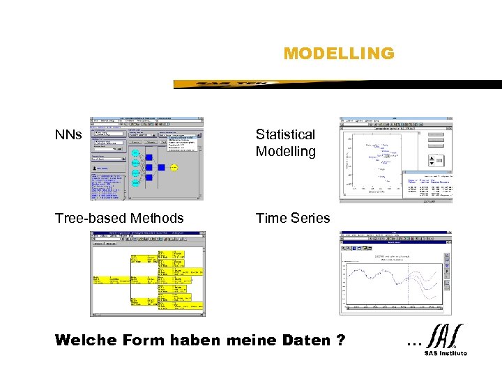 SAS Technical Expertise and Know-how ® MODELLING NNs Statistical Modelling Tree-based Methods Time Series