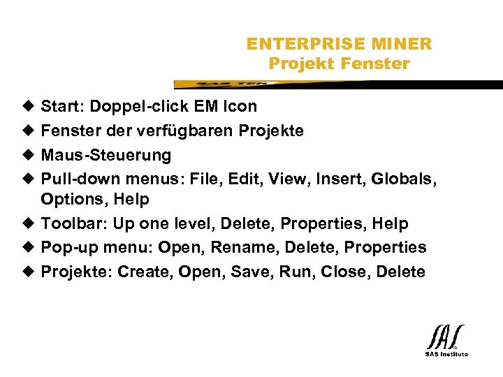 SAS Technical Expertise and Know-how ® ENTERPRISE MINER Projekt Fenster Start: Doppel-click EM Icon