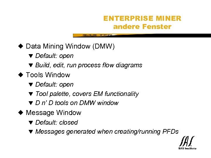 SAS Technical Expertise and Know-how ® ENTERPRISE MINER andere Fenster u Data Mining Window