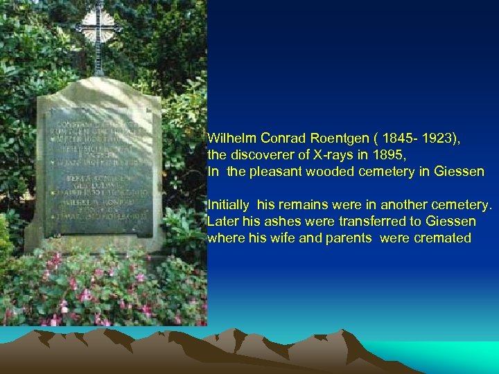 Wilhelm Conrad Roentgen ( 1845 - 1923), the discoverer of X-rays in 1895, In