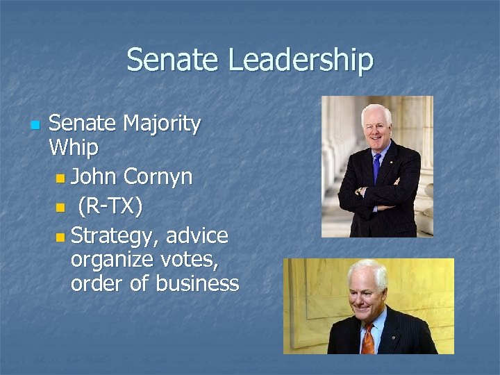 Senate Leadership n Senate Majority Whip n John Cornyn n (R-TX) n Strategy, advice