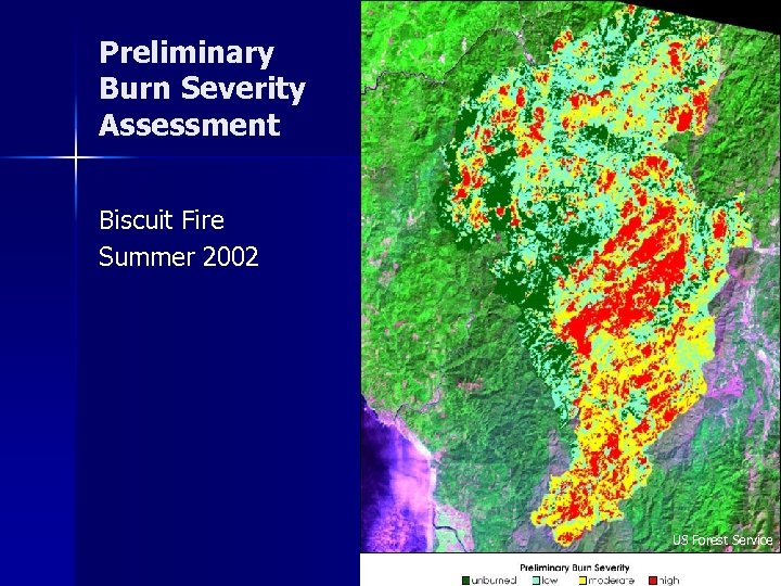 Preliminary Burn Severity Assessment Biscuit Fire Summer 2002 US Forest Service 