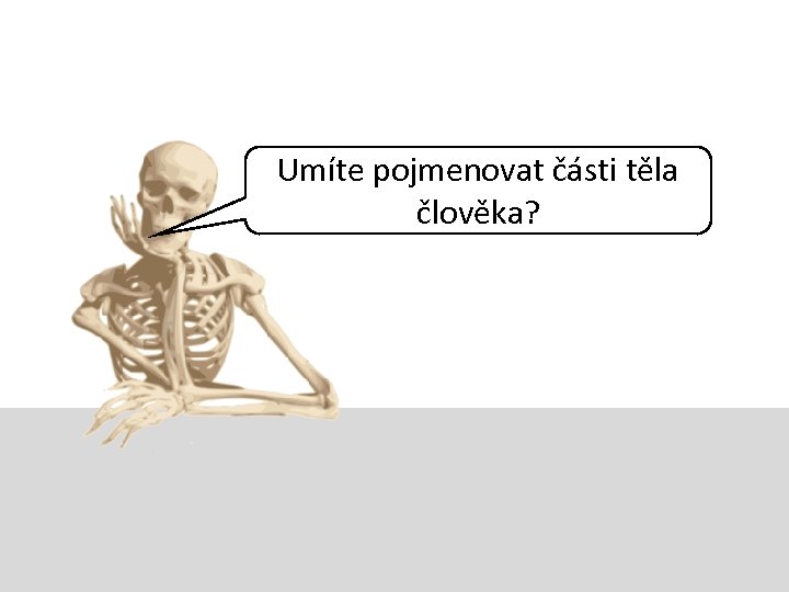 Umíte pojmenovat části těla člověka? 