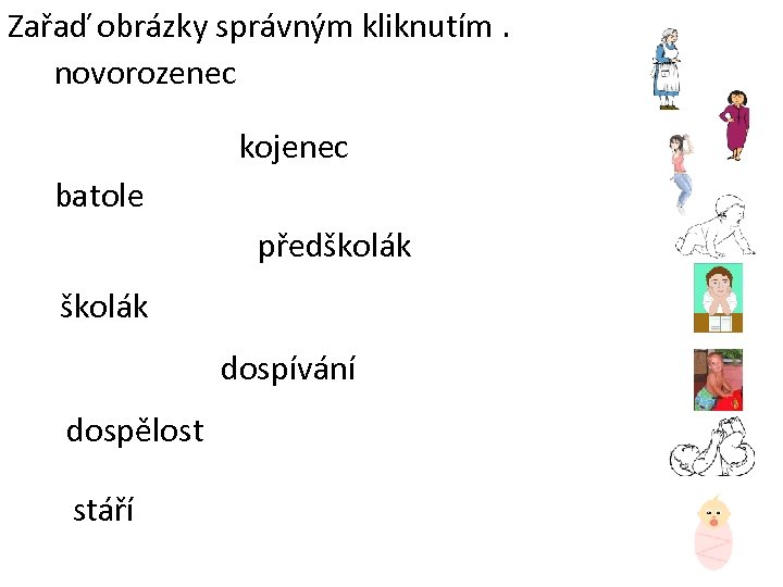 Zařaď obrázky správným kliknutím. novorozenec kojenec batole předškolák dospívání dospělost stáří 