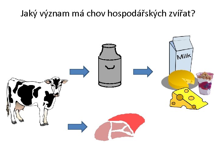 Jaký význam má chov hospodářských zvířat? 