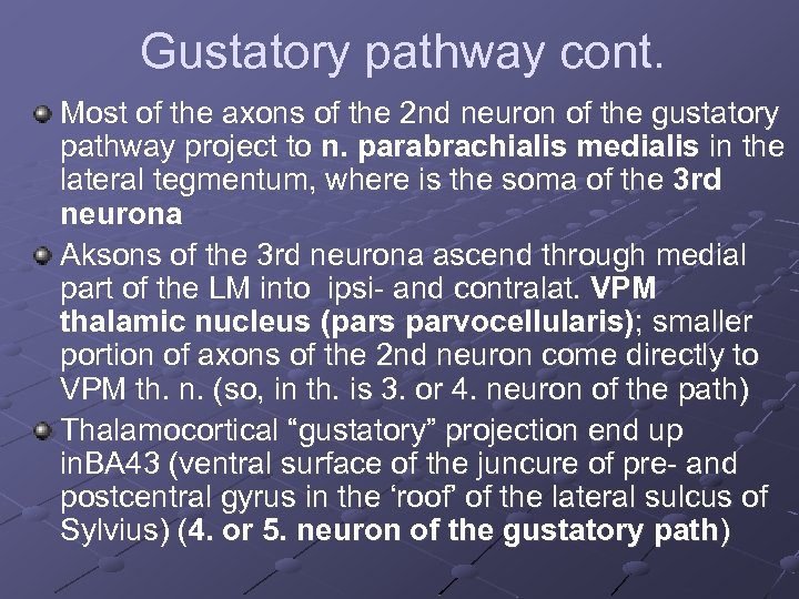 Gustatory pathway cont. Most of the axons of the 2 nd neuron of the