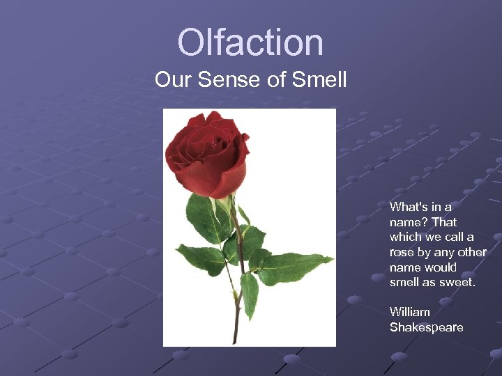 Olfaction Our Sense of Smell What's in a name? That which we call a