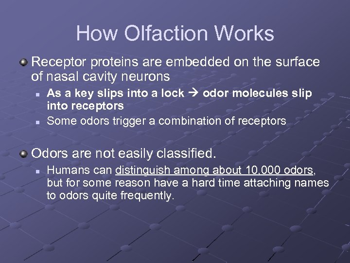 How Olfaction Works Receptor proteins are embedded on the surface of nasal cavity neurons