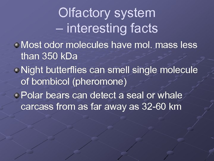 Olfactory system – interesting facts Most odor molecules have mol. mass less than 350