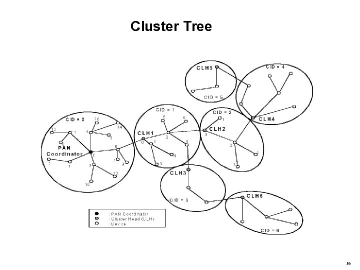 Cluster Tree 36 