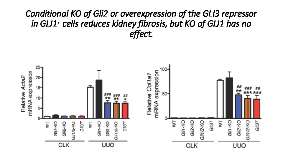 Conditional KO of Gli 2 or overexpression of the GLI 3 repressor in GLI