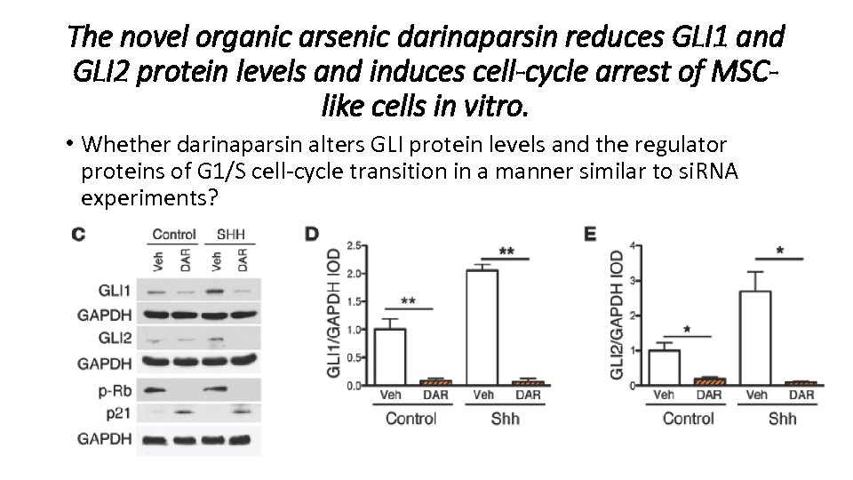 The novel organic arsenic darinaparsin reduces GLI 1 and GLI 2 protein levels and