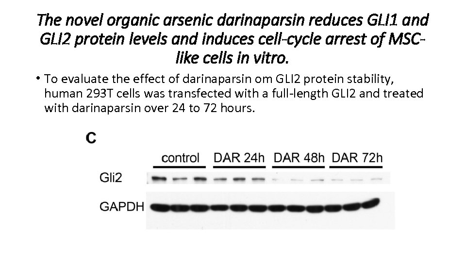The novel organic arsenic darinaparsin reduces GLI 1 and GLI 2 protein levels and