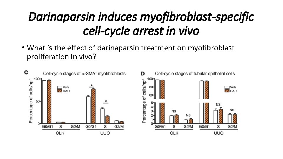 Darinaparsin induces myofibroblast-specific cell-cycle arrest in vivo • What is the effect of darinaparsin