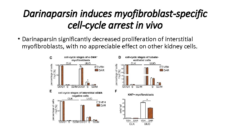 Darinaparsin induces myofibroblast-specific cell-cycle arrest in vivo • Darinaparsin significantly decreased proliferation of interstitial