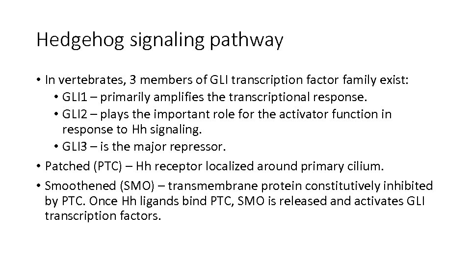 Hedgehog signaling pathway • In vertebrates, 3 members of GLI transcription factor family exist:
