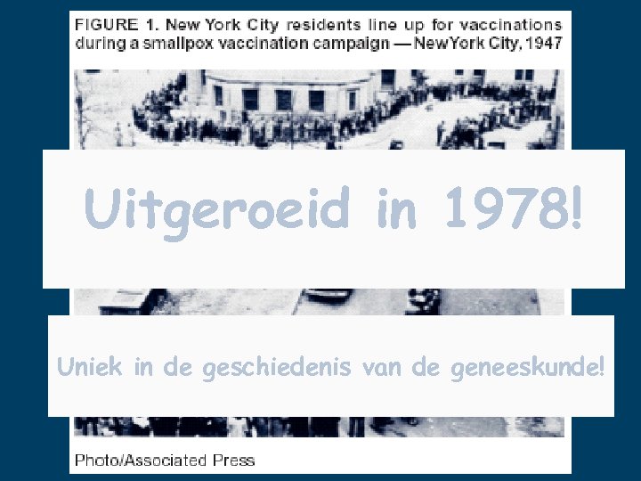 Uitgeroeid in 1978! Uniek in de geschiedenis van de geneeskunde! 