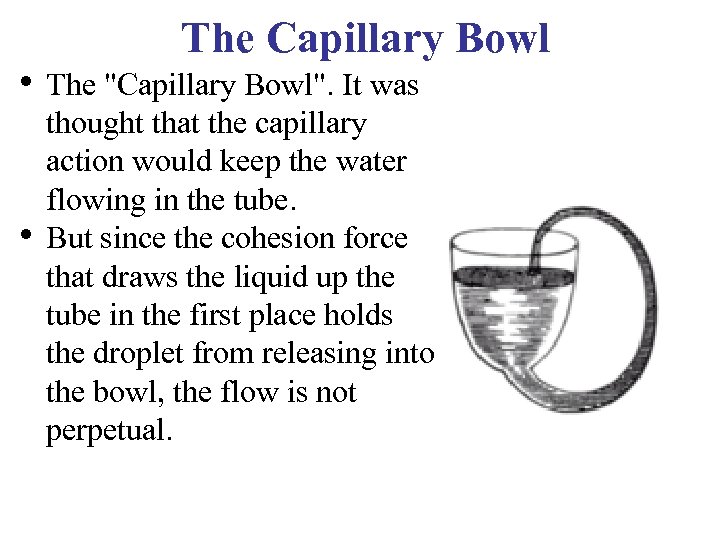 The Capillary Bowl • The 