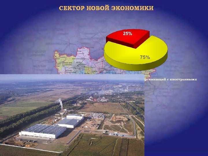 СЕКТОР НОВОЙ ЭКОНОМИКИ 