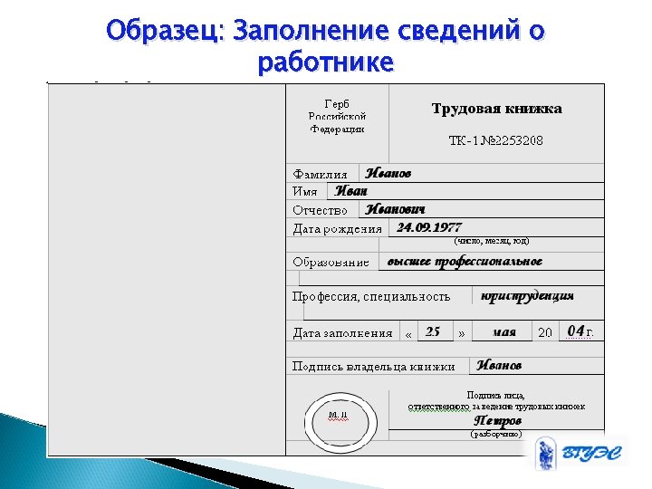 Образец: Заполнение сведений о работнике 