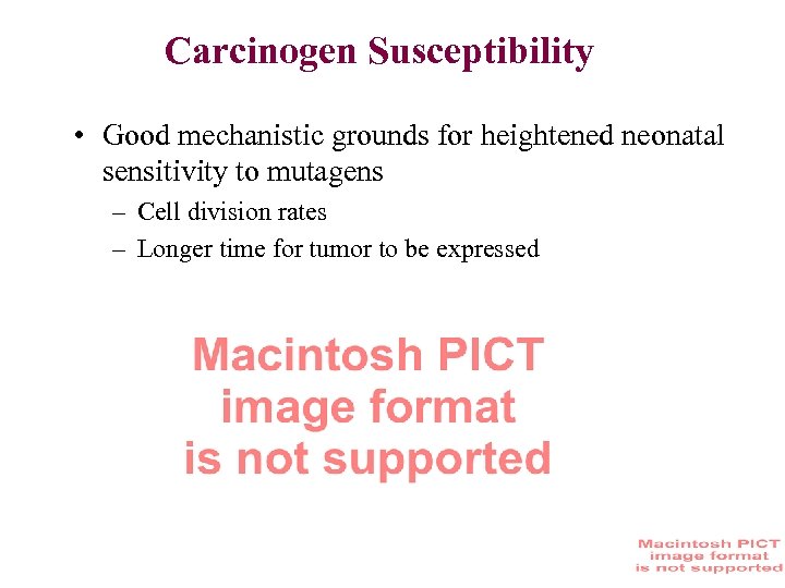 Carcinogen Susceptibility • Good mechanistic grounds for heightened neonatal sensitivity to mutagens – Cell