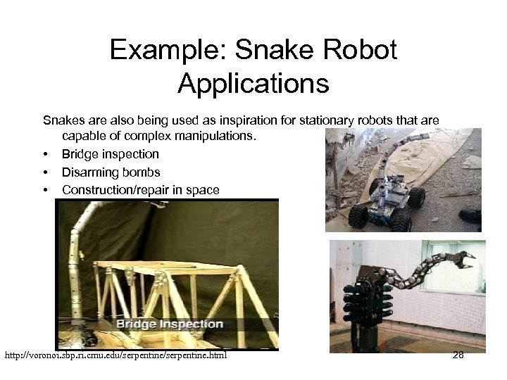 Example: Snake Robot Applications Snakes are also being used as inspiration for stationary robots