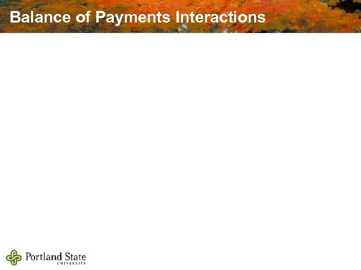 Balance of Payments Interactions 