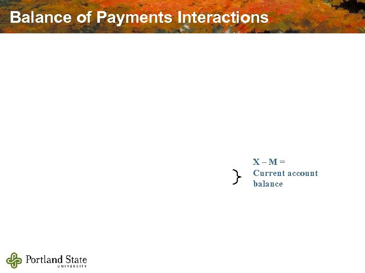 Balance of Payments Interactions X–M= Current account balance 