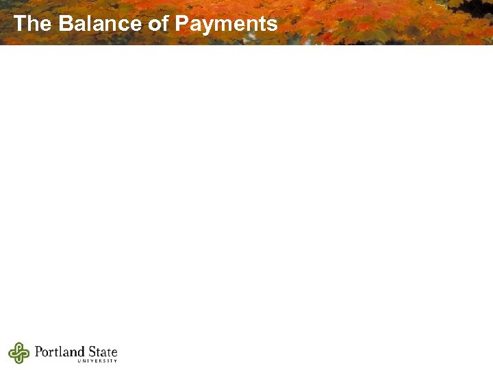 The Balance of Payments 
