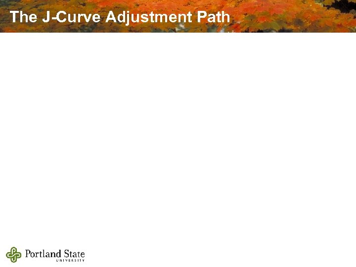The J-Curve Adjustment Path 