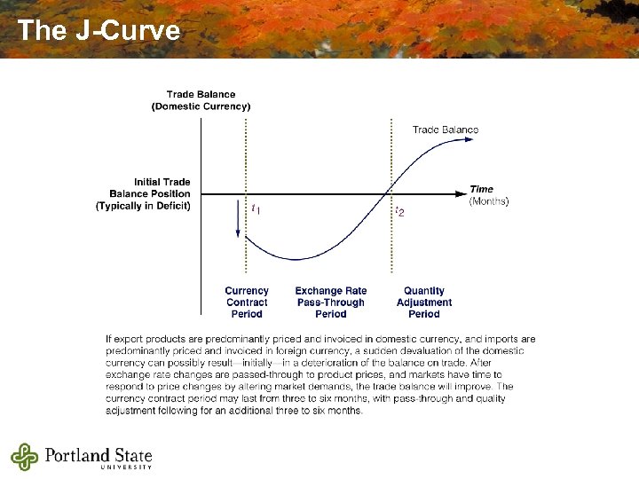 The J-Curve 
