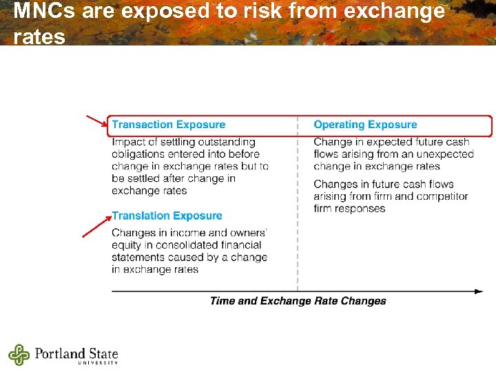 MNCs are exposed to risk from exchange rates 