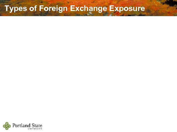 Types of Foreign Exchange Exposure 