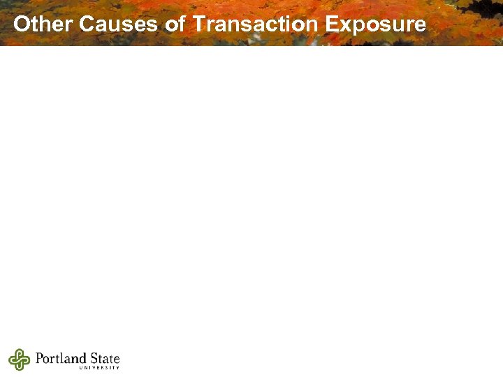 Other Causes of Transaction Exposure 