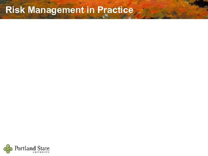 Risk Management in Practice 