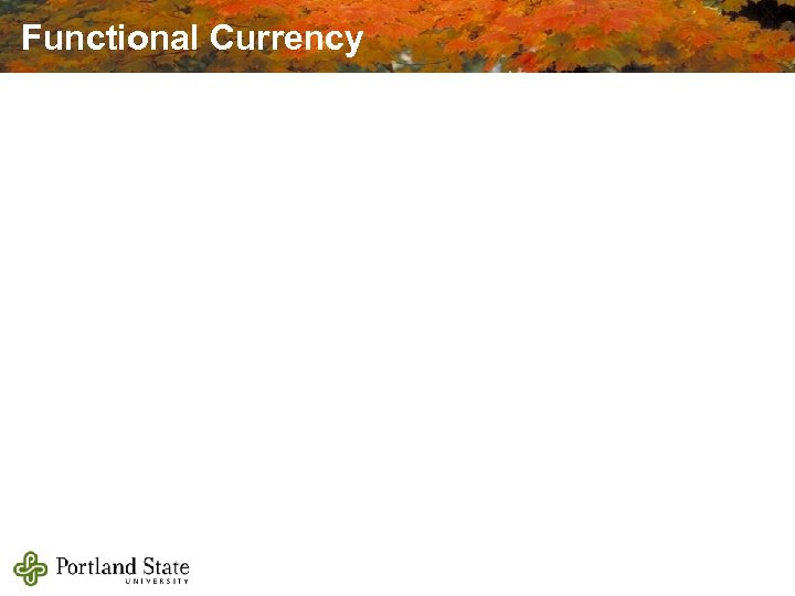 Functional Currency 