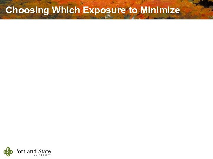 Choosing Which Exposure to Minimize 