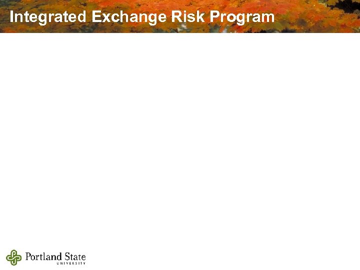 Integrated Exchange Risk Program 