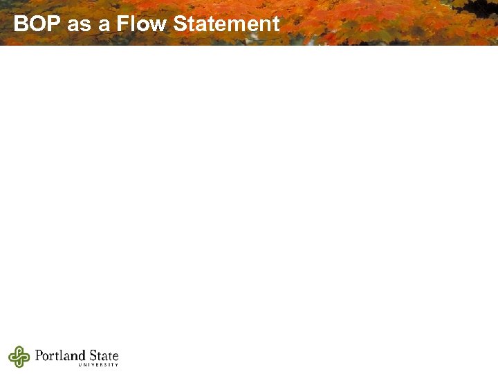 BOP as a Flow Statement 