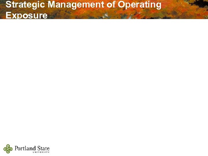 Strategic Management of Operating Exposure 