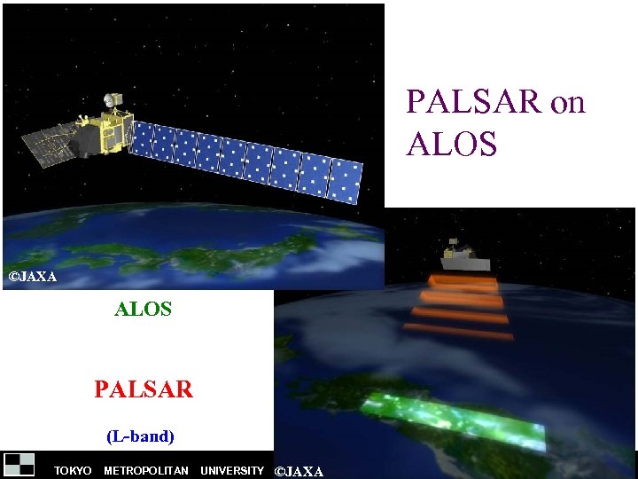 PALSAR on ALOS ©JAXA ALOS PALSAR (L-band) TOKYO METROPOLITAN UNIVERSITY Remote ©JAXASensing Laboratory 