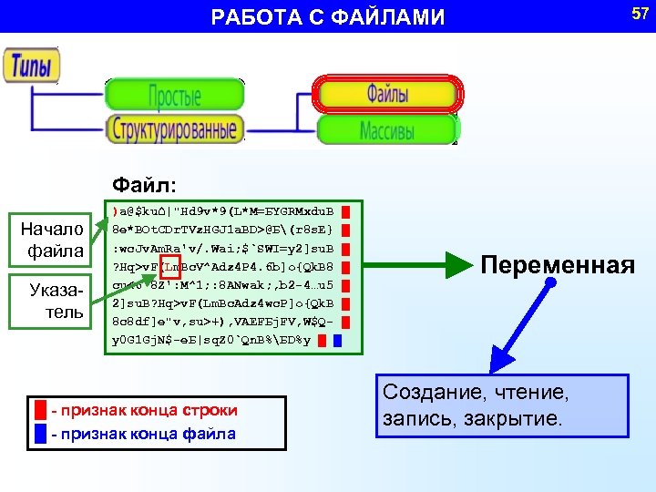 57 РАБОТА С ФАЙЛАМИ Файл: Начало файла Указатель )a@$ku⌂|