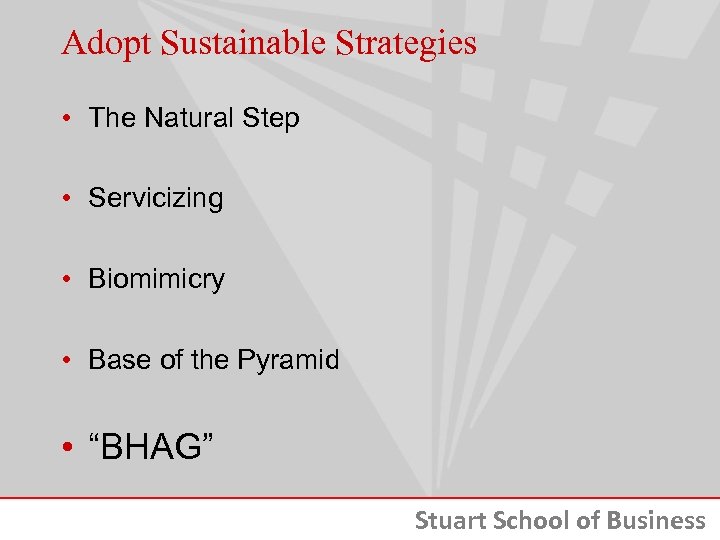 Adopt Sustainable Strategies • The Natural Step • Servicizing • Biomimicry • Base of