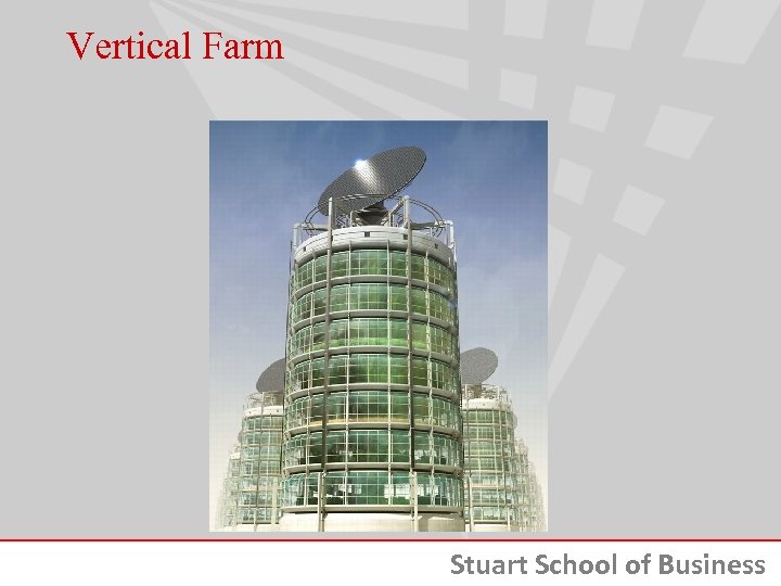 Vertical Farm Stuart School of Business 